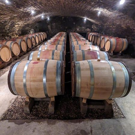 Les Gites De Cour Remond Villers-la-Faye Екстериор снимка