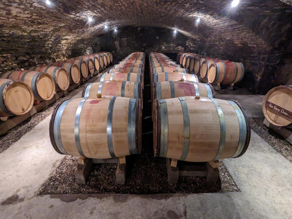 Les Gites De Cour Remond Villers-la-Faye Екстериор снимка